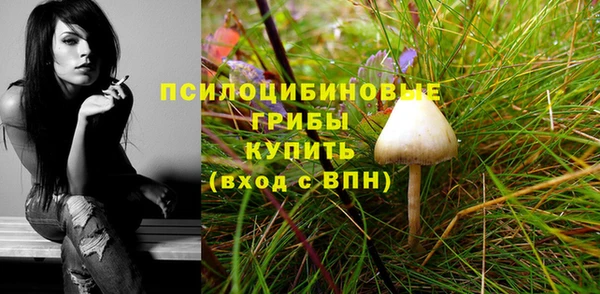 МДМА Нязепетровск