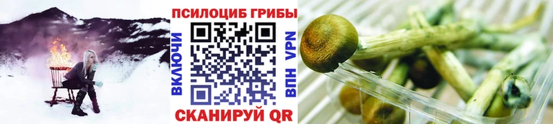 сколько стоит Багратионовск Галлюциногенные грибы Magic Shrooms