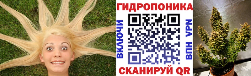 наркотики  Багратионовск  Канабис THC 21% 